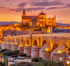 Premium Religious Oil - Cordoba Musk