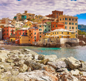 Premium Religious Oil - Genoa Musk