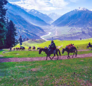 Premium Religious Oil - Kashmir Musk