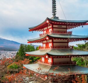 Premium Religious Oil - Tokyo Musk