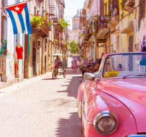 Premium Religious Oil - Havana Musk