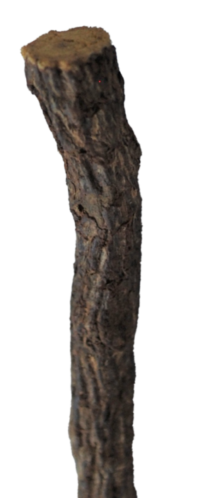 African Licorice Chew Stick
