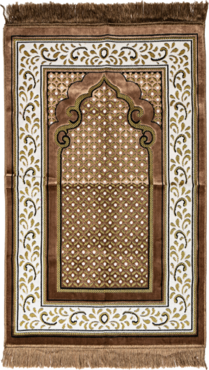 Silken Velvet Prayer Rug - Brown